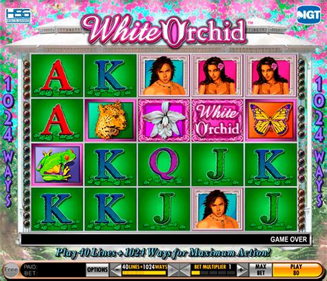 Play White Orchid Slot Free Online .